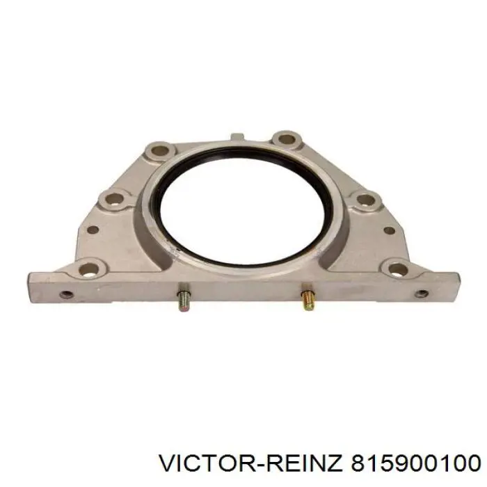 Купити 815900100 Victor Reinz Сальник колінвала задній