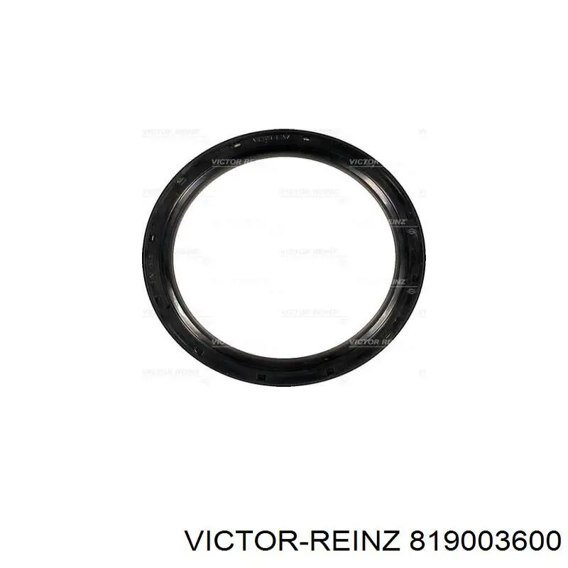 Купити 819003600 Victor Reinz Кришка двигуна передня