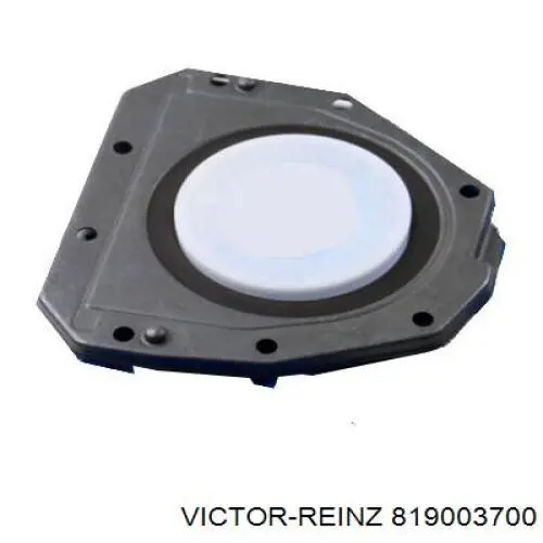 Купити 819003700 Victor Reinz Сальник колінвала задній