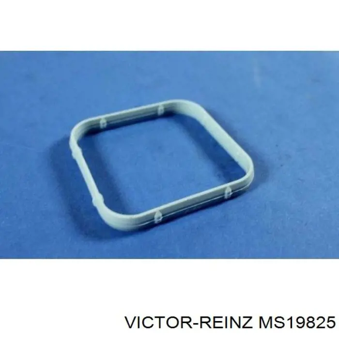 MS19825 Victor Reinz прокладка впускного колектора