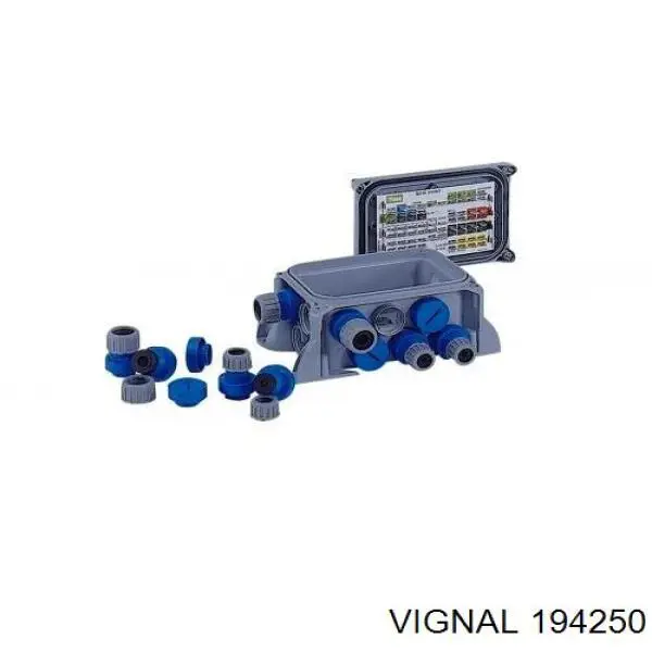 194250 Vignal