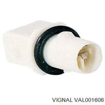  001606 Vignal