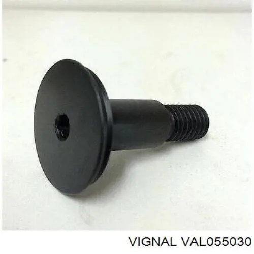 Скло заднього ліхтаря, правого VAL055030 Vignal