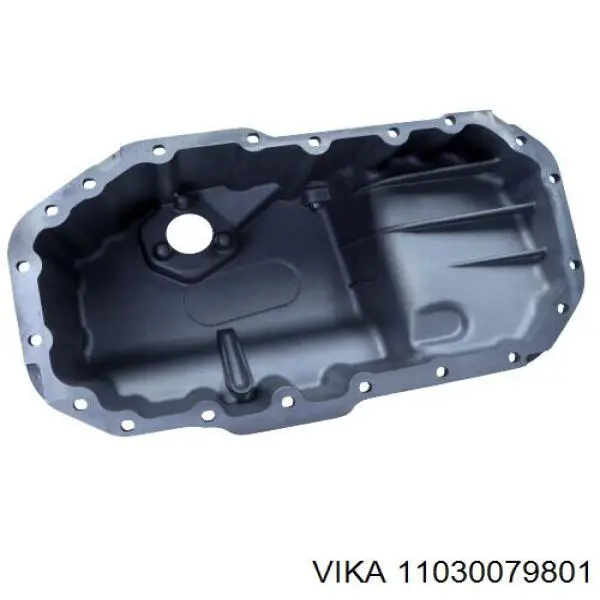 Купити 11030079801 Vika Захист двигуна