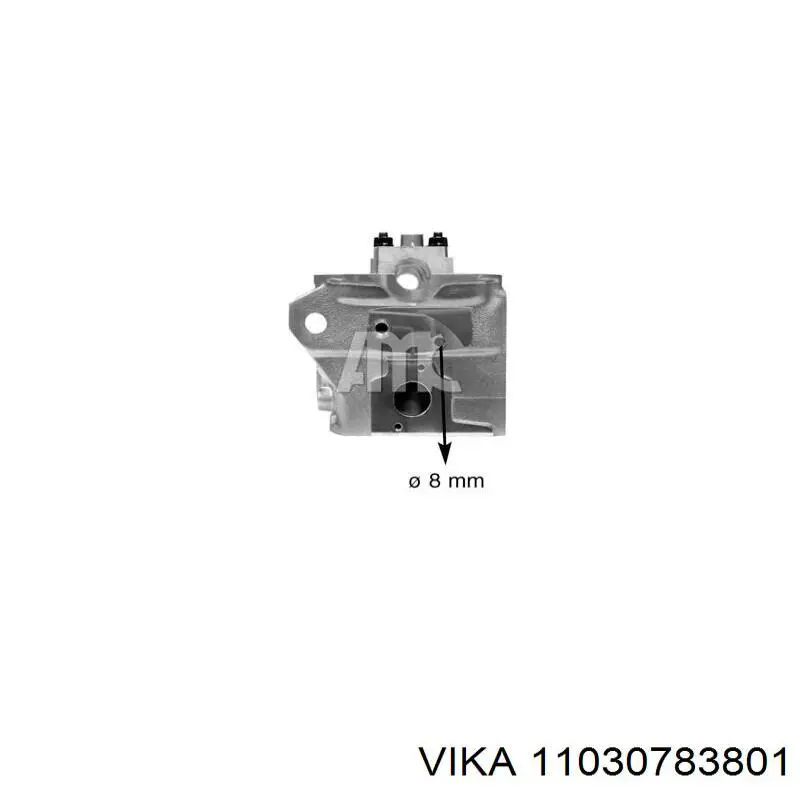 Головка блока циліндрів (ГБЦ) 11030783801 Vika