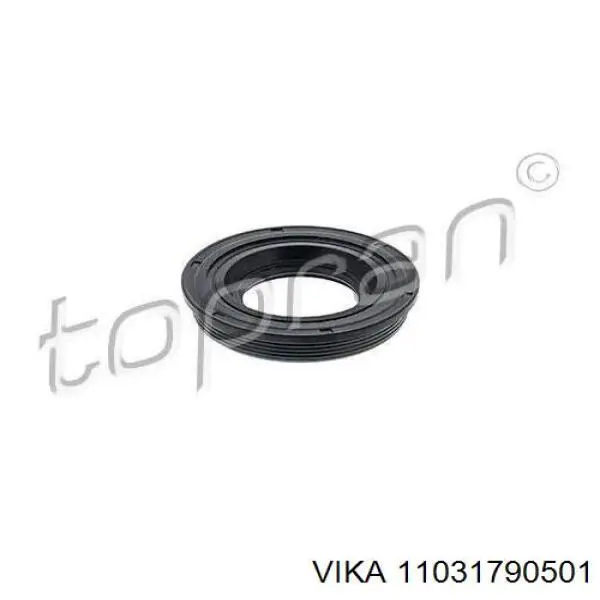 FSE11218003 Fase Кільце ущільнювальне свічкового колодязя
