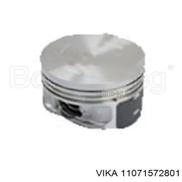 11071572801 Vika 