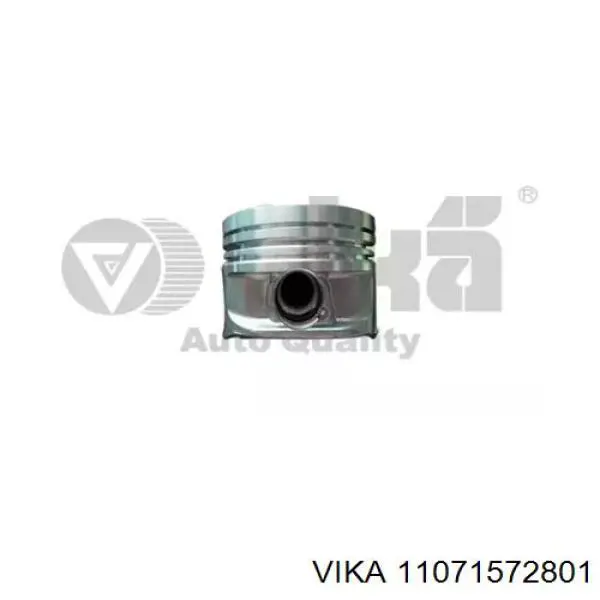  Vika 11071572801 ціна, від 56.67 USD