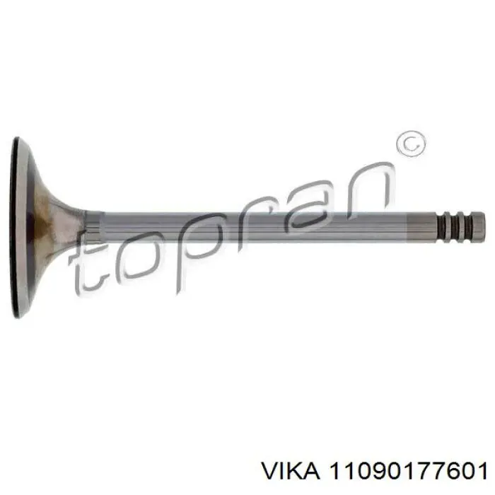 4806S Freccia Клапан впускний