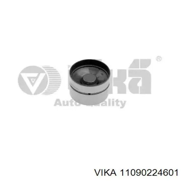 11090224601 Vika Гідрокомпенсатор