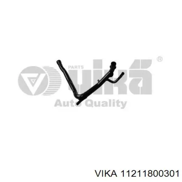 11211800301 Vika 