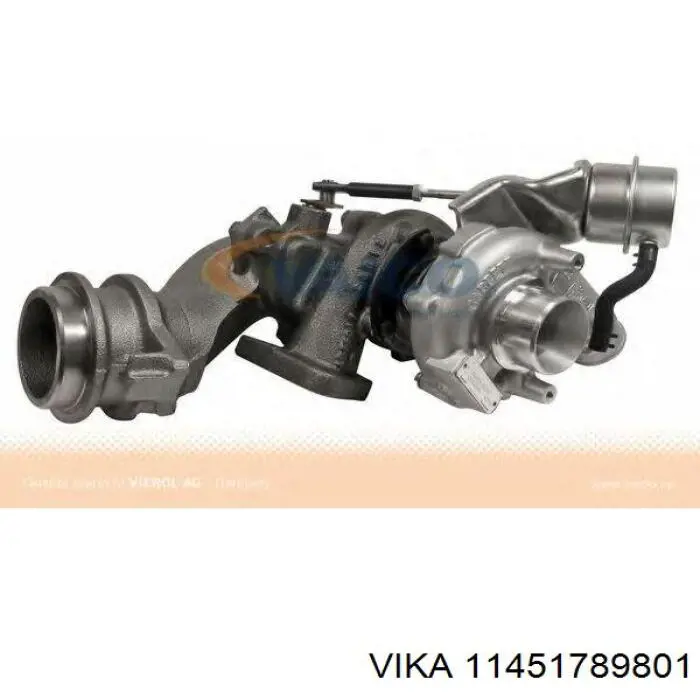 11451789801 Vika 