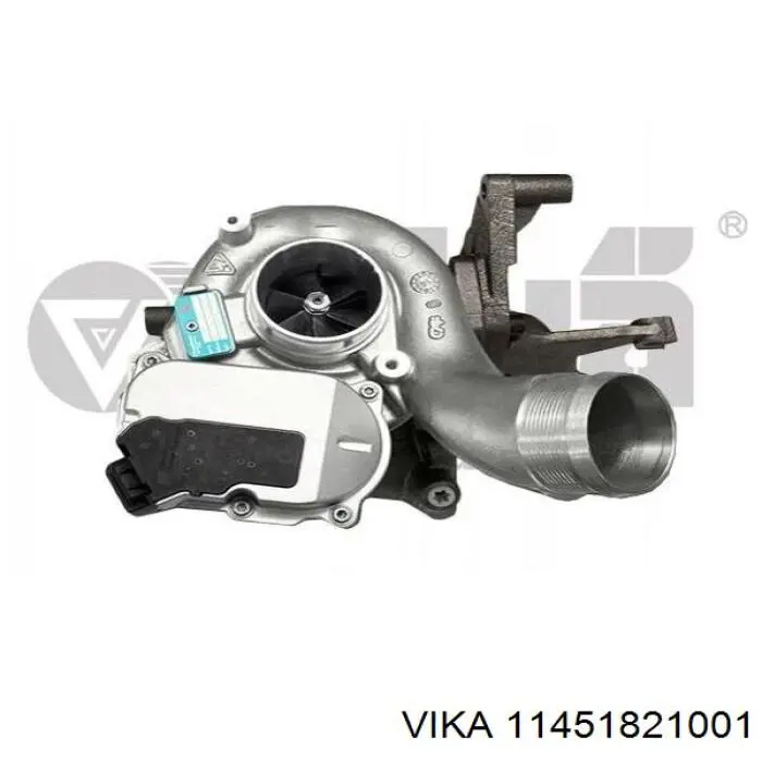 11451821001 Vika 