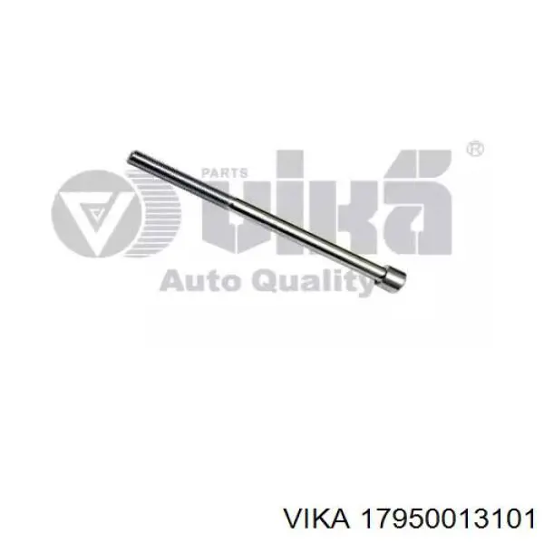 Купити 17950013101 Vika Болт гбц