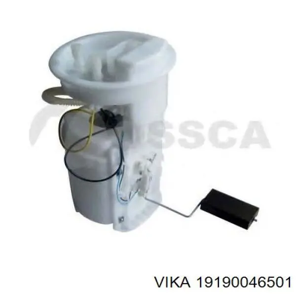 19190046501 Vika 