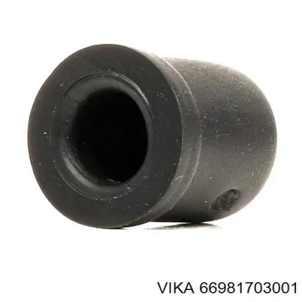  Vika 66981703001 ціна, від 9.06 USD