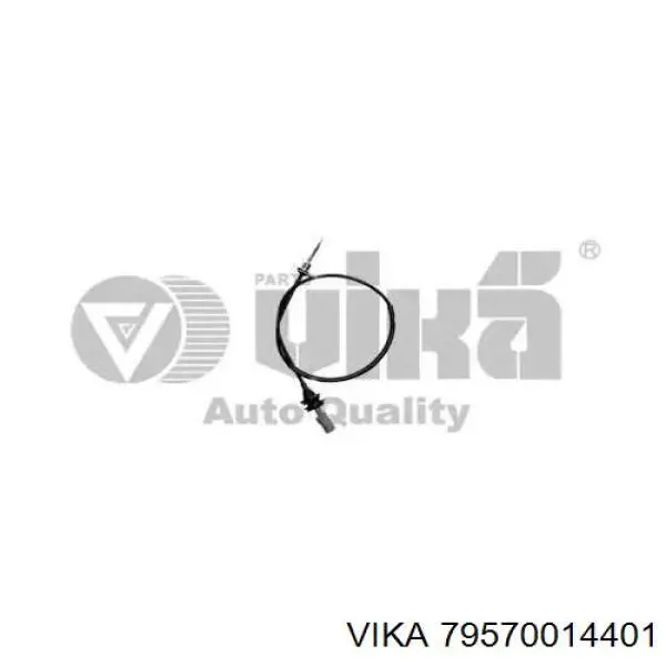 79570014401 Vika Тросик спідометра