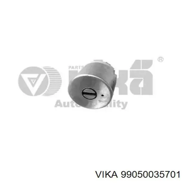 99050035701 Vika Корпус замка запалювання