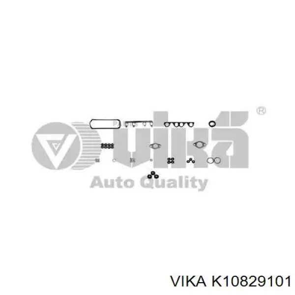 K10829101 Vika 