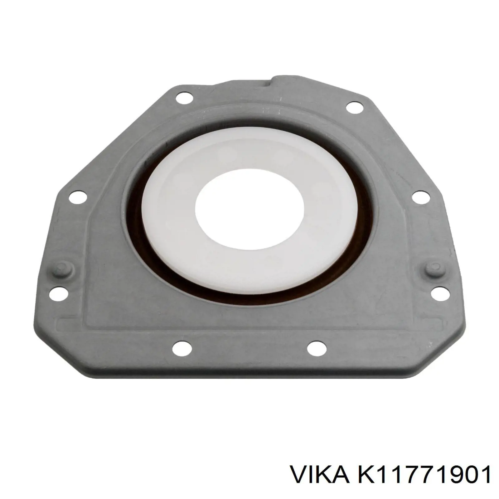 Комплект прокладок двигуна, верхній Vika K11771901 ціна, від 53.93 USD