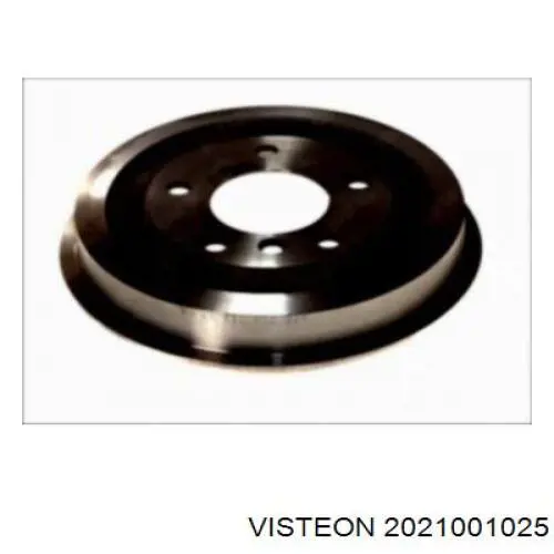 Купити 2021001025 Visteon Задня права фара