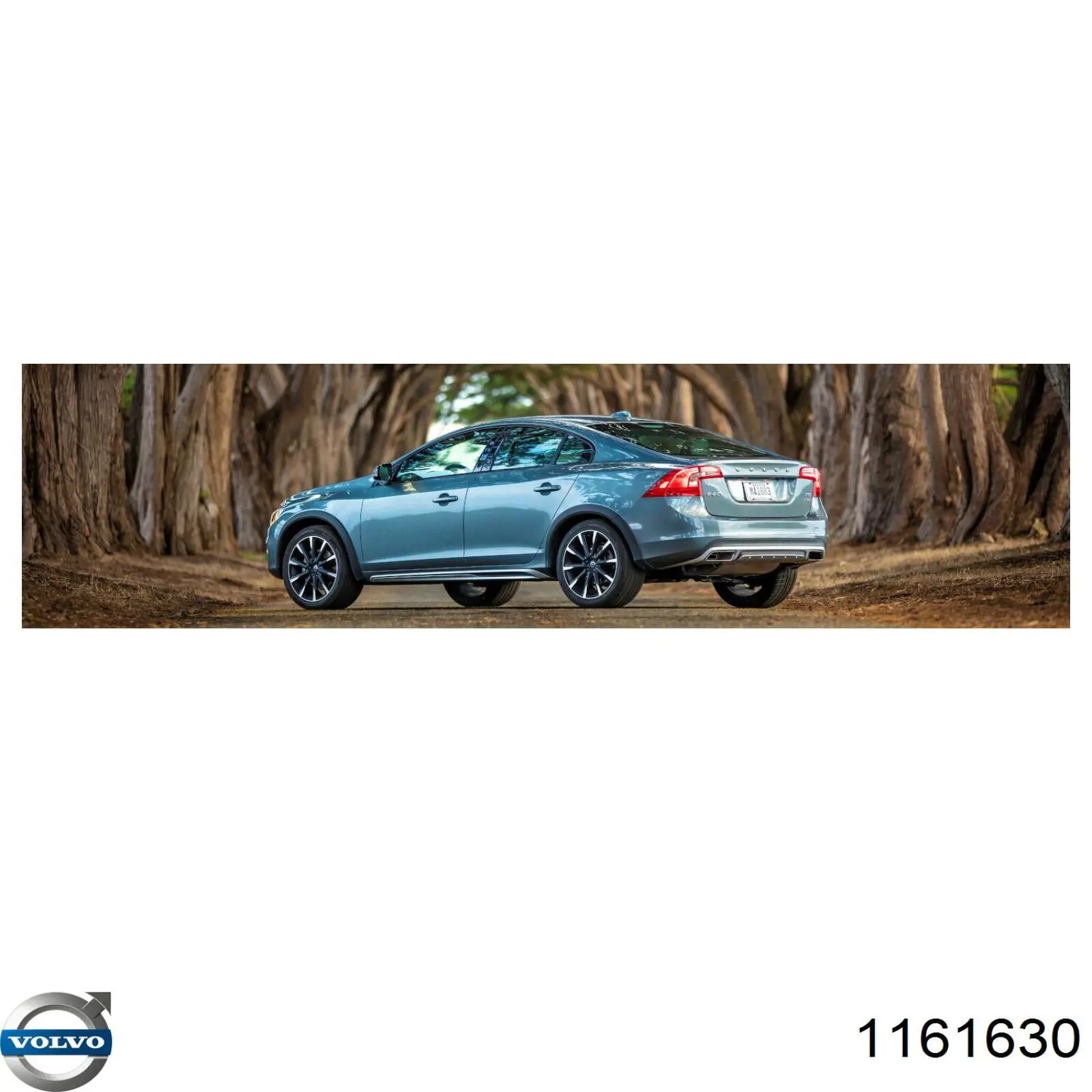 Моторна олива Volvo 1161630