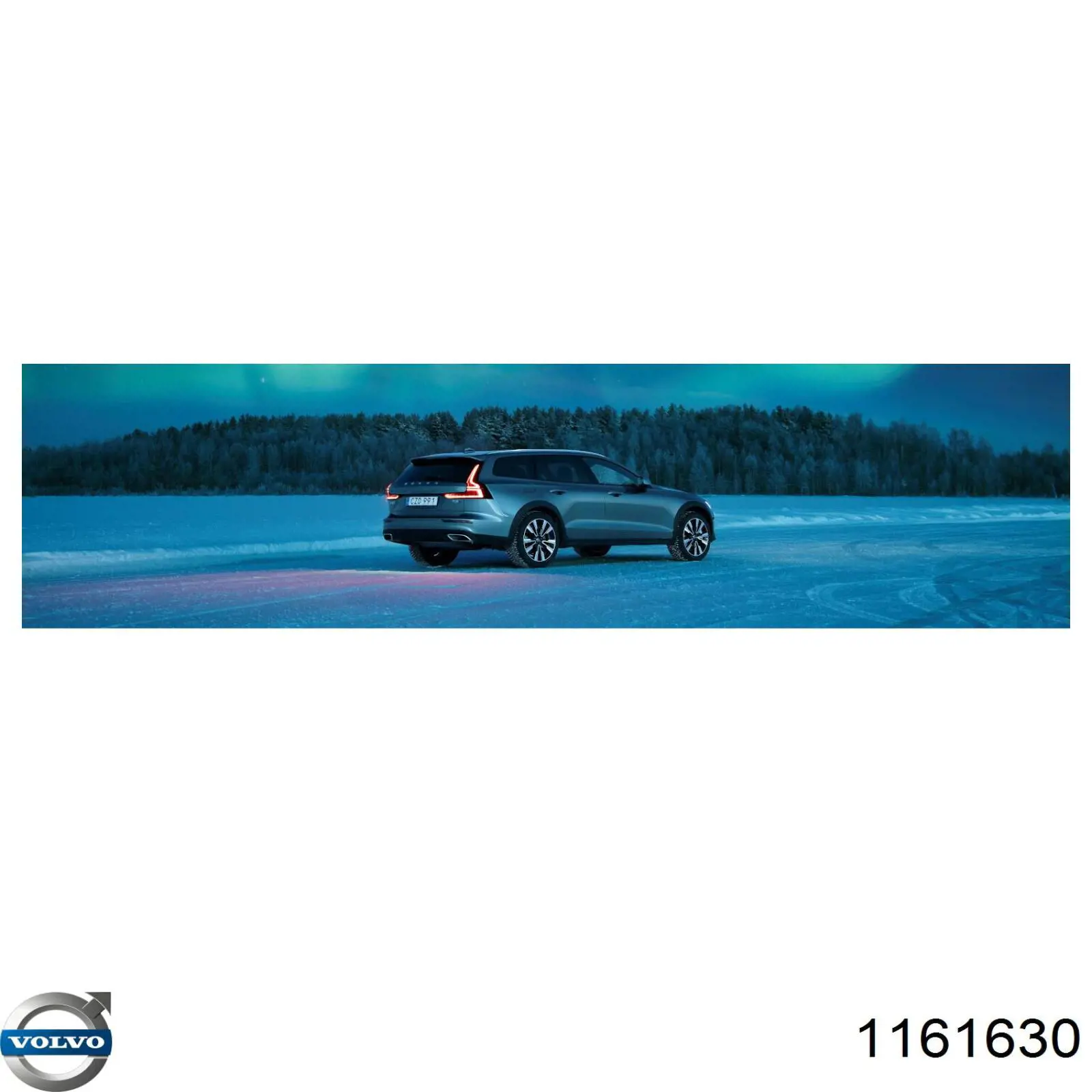 1161630 Volvo Масло двигуна