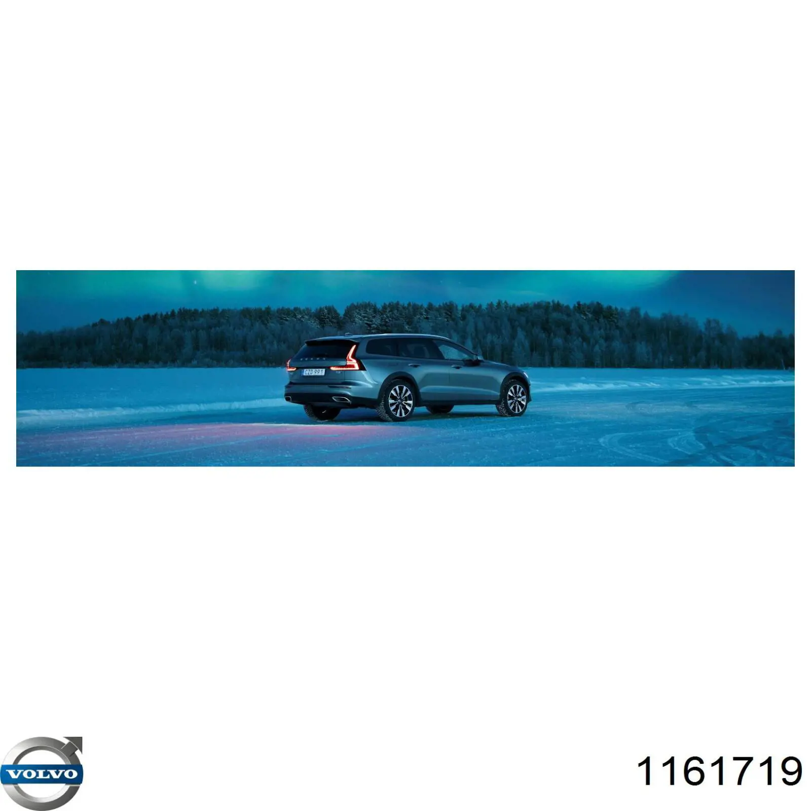1161719 Volvo Масло двигуна