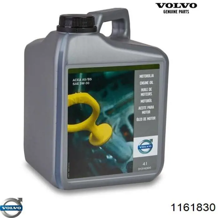 Купити 1161830 Volvo Масло