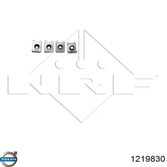 Радіатор охолодження Volvo 1219830