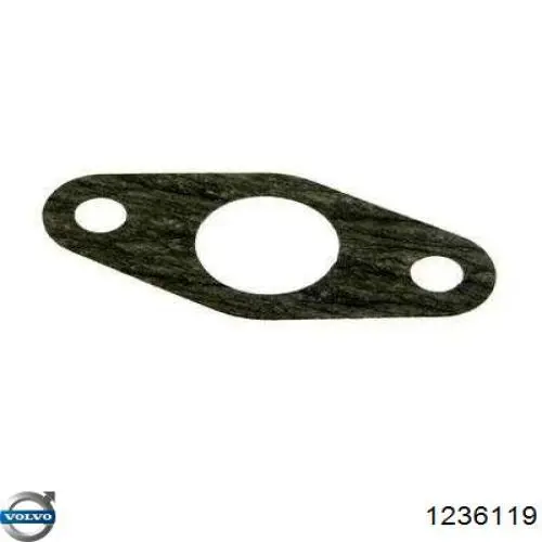Прокладка водяної помпи 7700853903 Renault (RVI)
