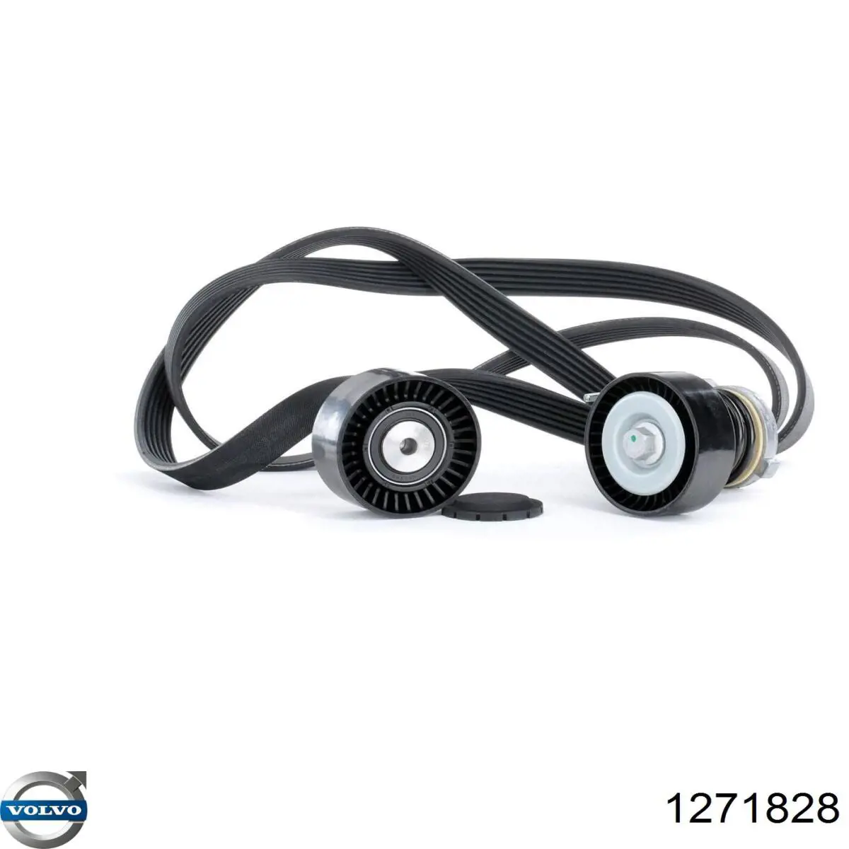 Купити 1271828 Volvo Ремінь генератора