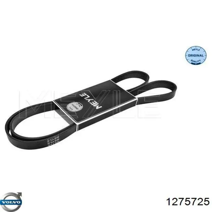 Купити 1275725 Volvo Ремінь генератора