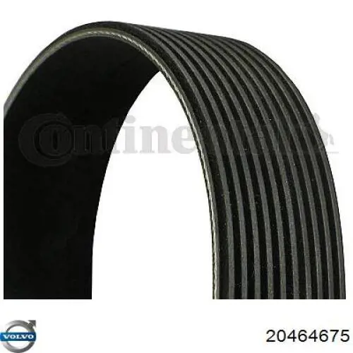 Купити 20464675 Volvo Ремінь генератора