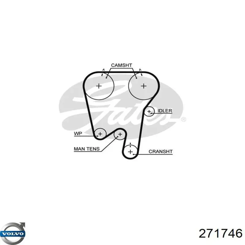 Ремінь ГРМ QTB481 QUINTON HAZELL
