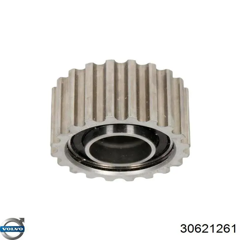 Купити 30621261 Volvo Ролик паразитний ГРМ