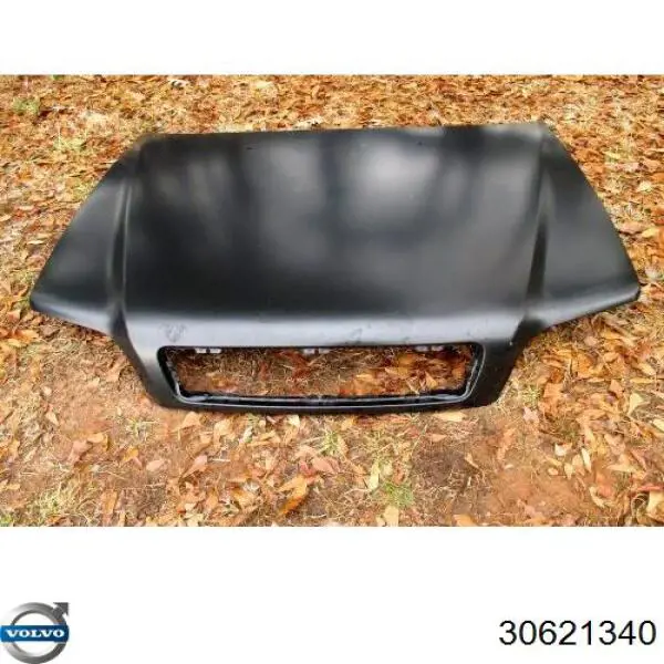 Капот Polcar 904003 ціна, від 146.56 USD