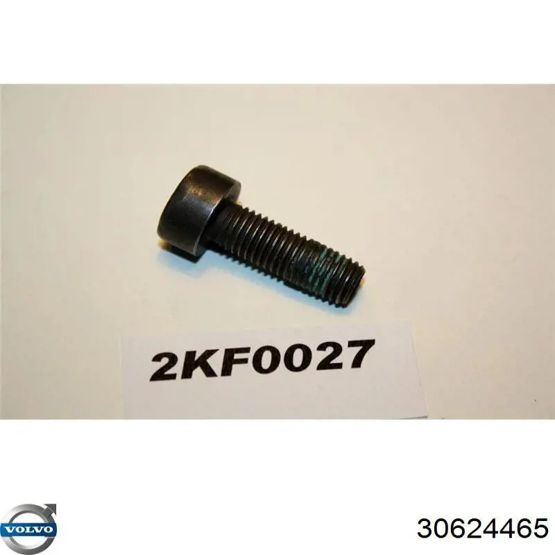 30624465 Volvo 