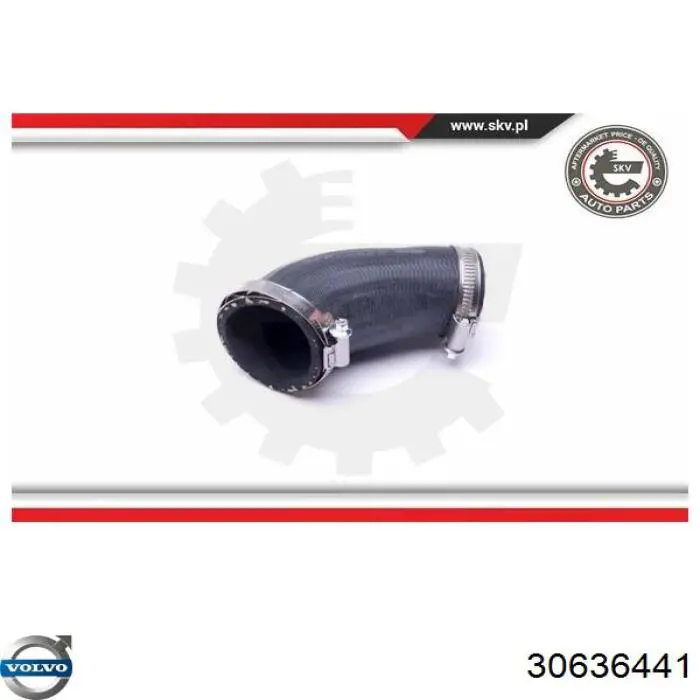 30636441 Volvo Трубка, що нагнітається