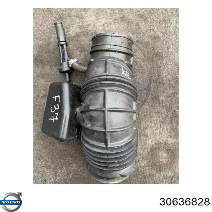 Купити 30636828 Volvo 