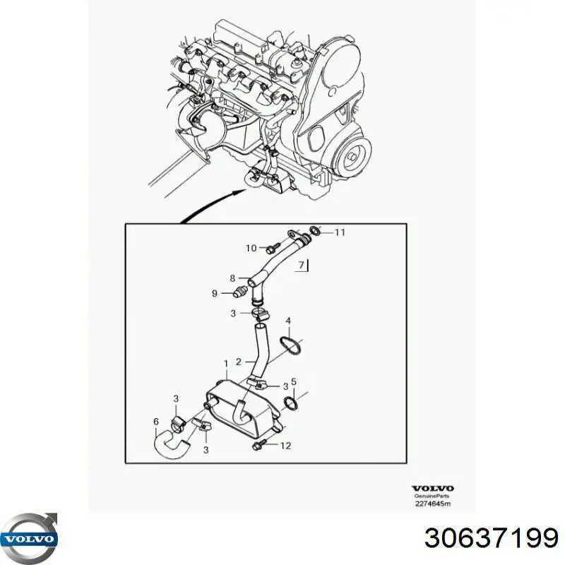Купити 30637199 Volvo Прокладка радіатора масляного
