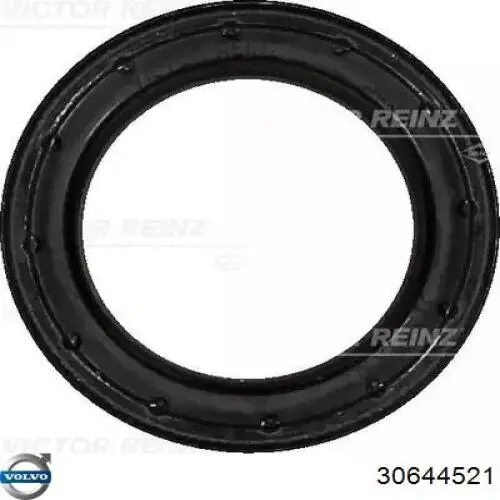 Купити 30644521 Volvo Герметик силіконовий