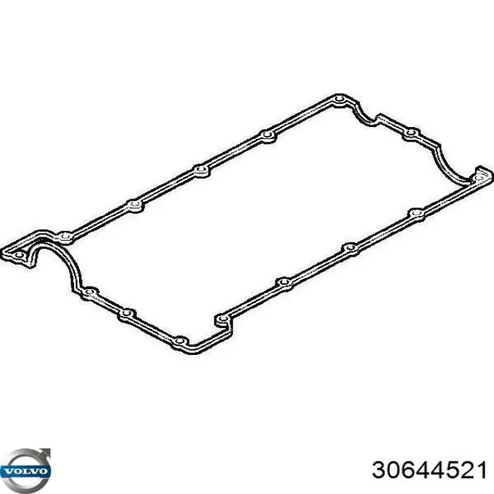 Купити 30644521 Volvo Герметик силіконовий