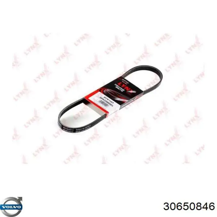 Клиновий ремінь Volvo 30650846 ціна, від 14.06 USD