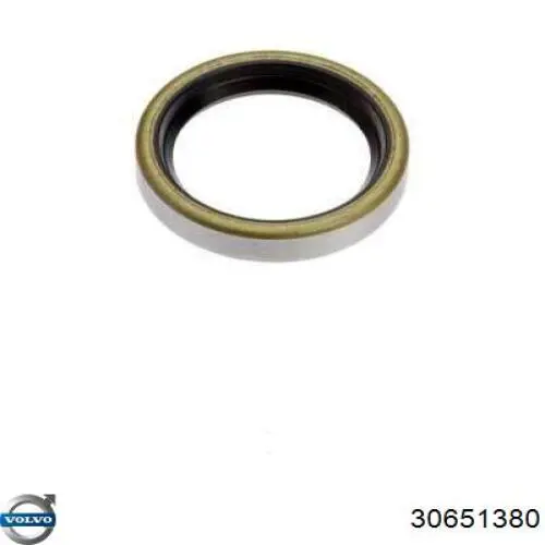 Купити 30651380 Volvo 