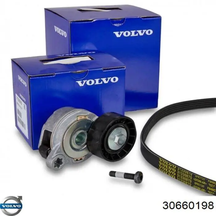 Купити 30660198 Volvo Замок фаркопа