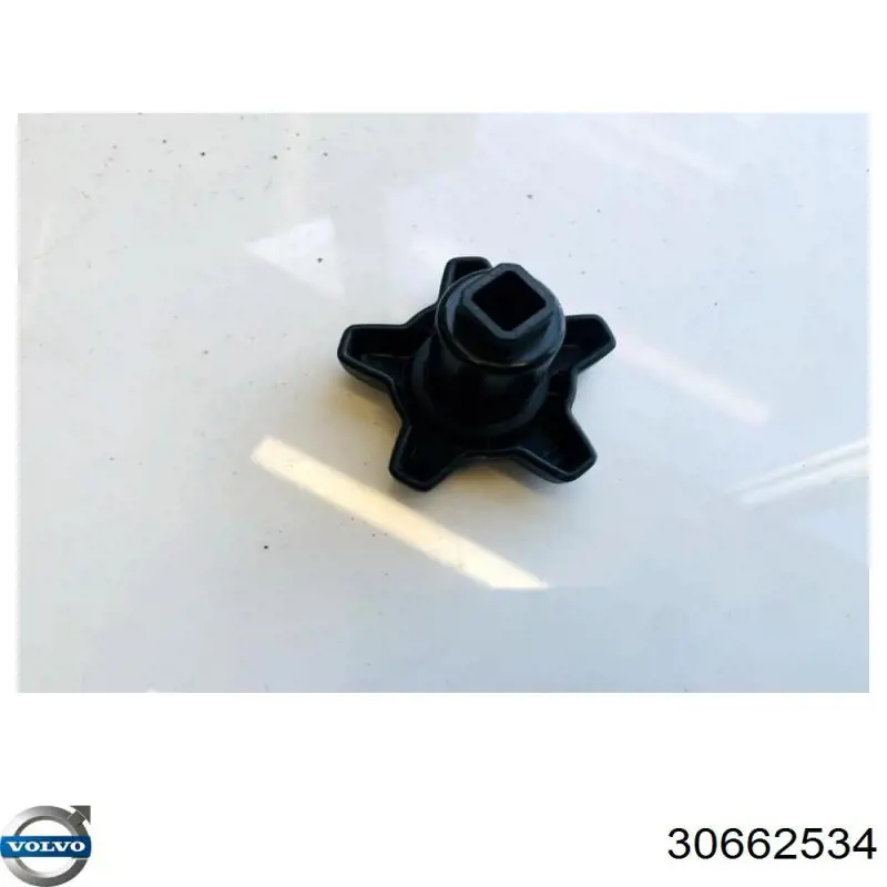 Купити 30662534 Volvo 