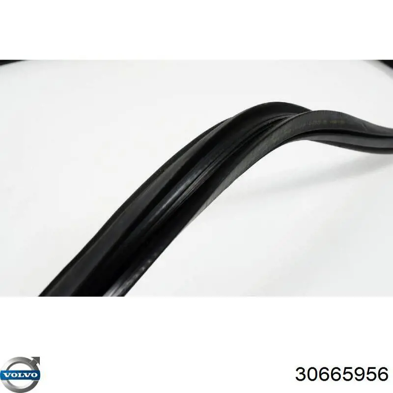Купити 30665956 Volvo 
