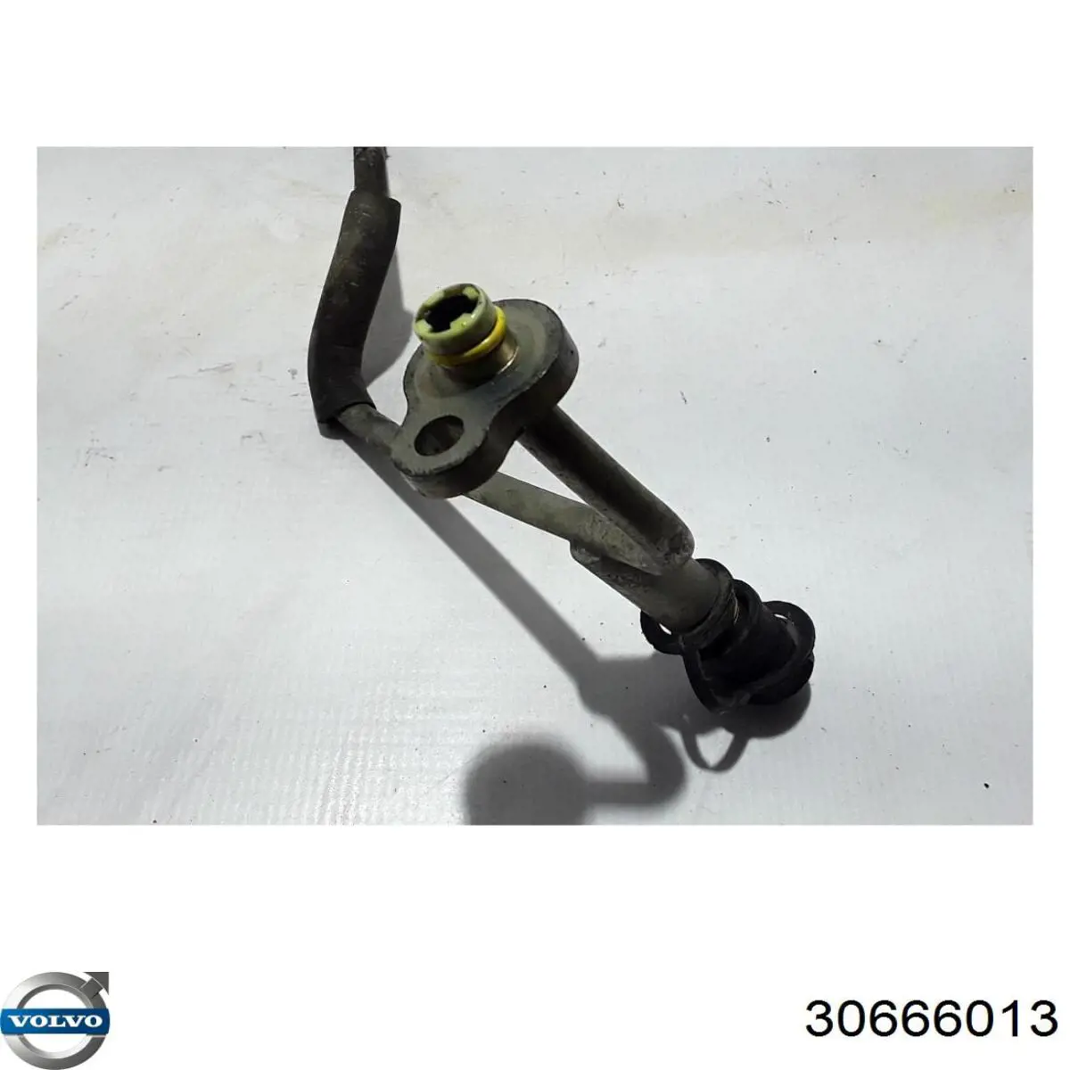 Купити 30666013 Volvo 