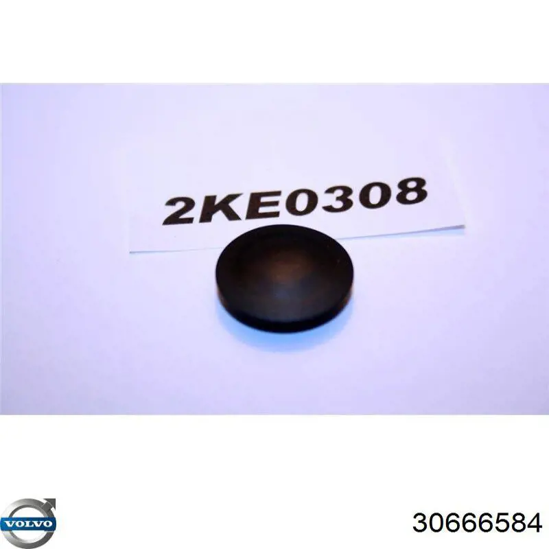 Volvo 30666584 ціна, від 1.27 USD